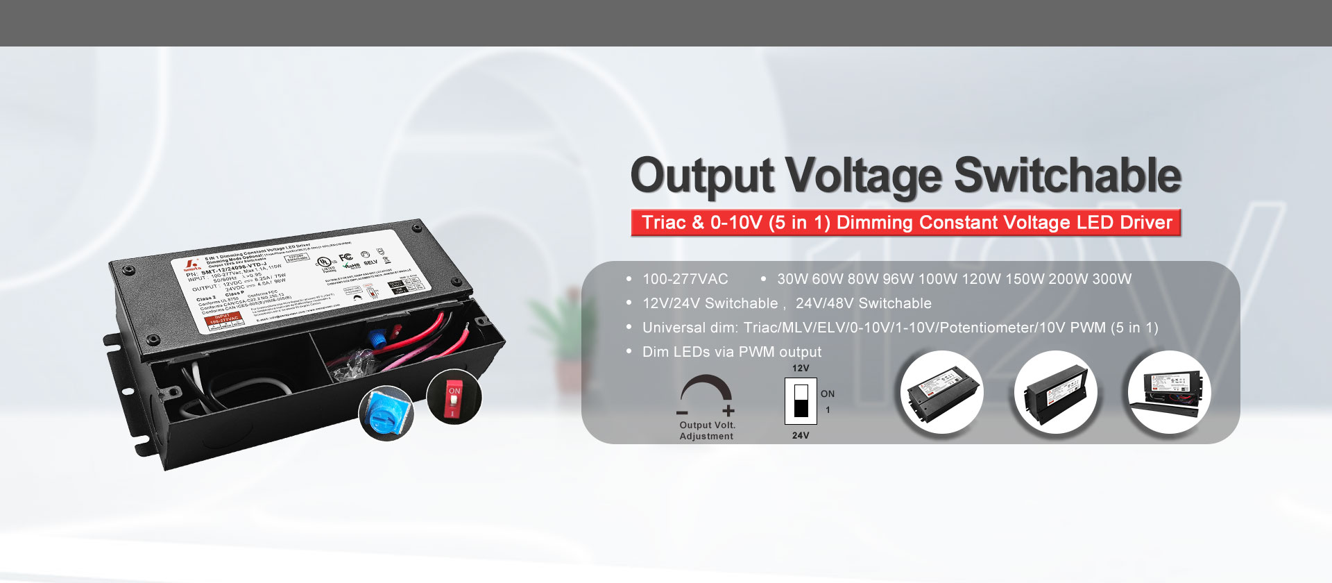 Triac & 0-10V (5 in 1) Dimming  Output Voltage Switchable Constant Voltage LED Driver 