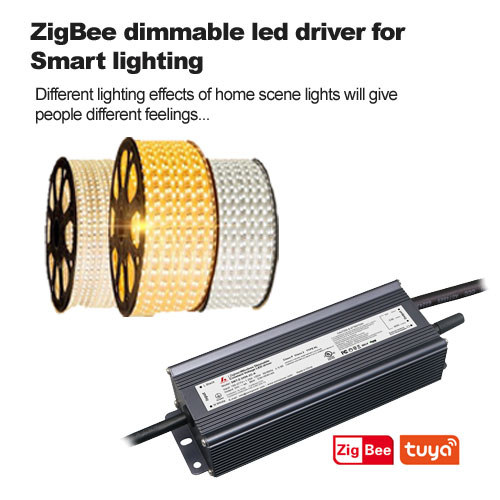 سائق ZigBee عاكس الضوء للإضاءة الذكية
