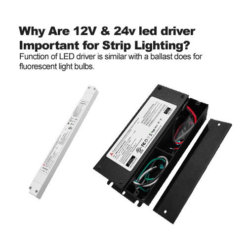 لماذا 12V & 24 فولت سائق الصمام مهم للشريط الإضاءة؟ 