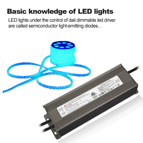 المعرفة الأساسية بأضواء LED
